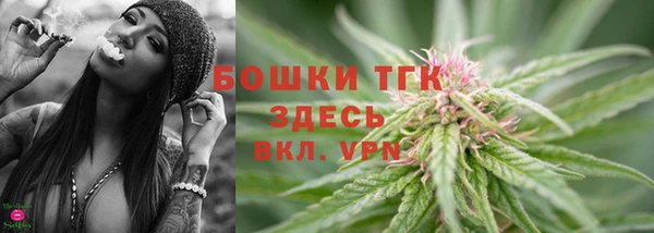ПСИЛОЦИБИНОВЫЕ ГРИБЫ Балабаново