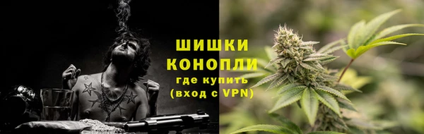 ПСИЛОЦИБИНОВЫЕ ГРИБЫ Балабаново
