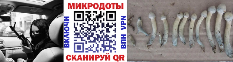 Галлюциногенные грибы Psilocybine cubensis  Гагарин 